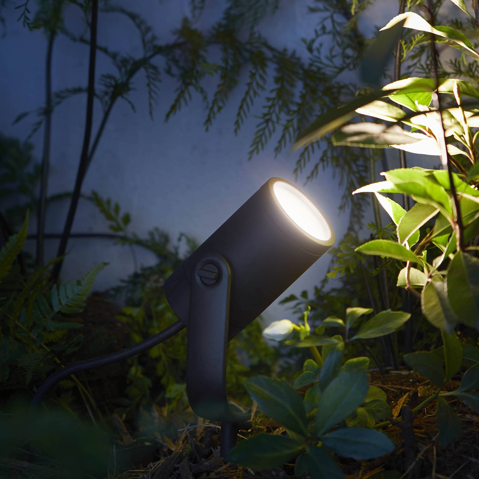 Philips Hue Lily Outdoor Bundle 3er-Spot + Bridge günstig online kaufen