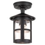 Hereford outdoor ceiling light