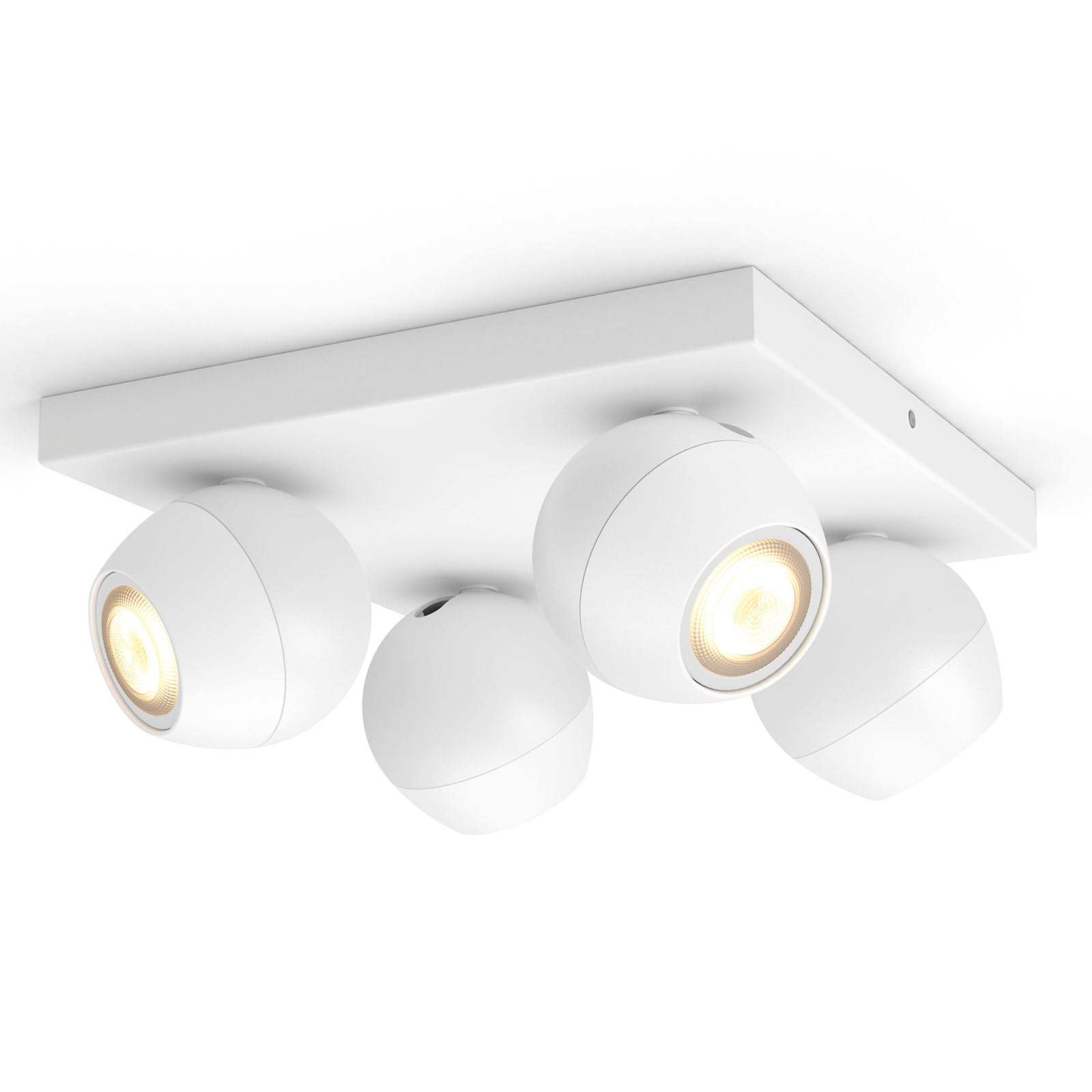 philips hue buckram