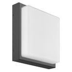 LED outdoor wall lamp Ernest, graphite, 25 x 25 cm