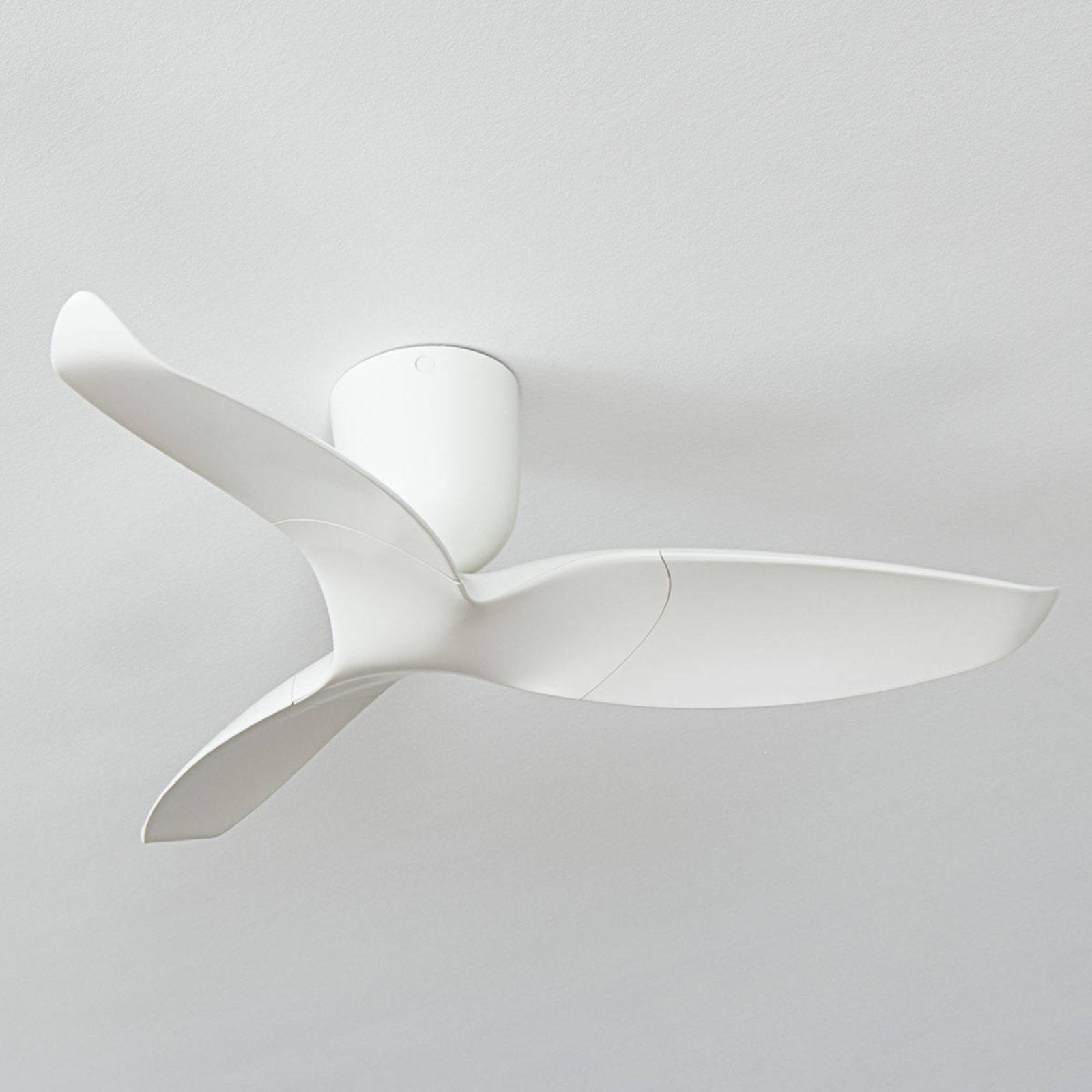 Aeratron AE3+ ceiling fan, 109 cm, white