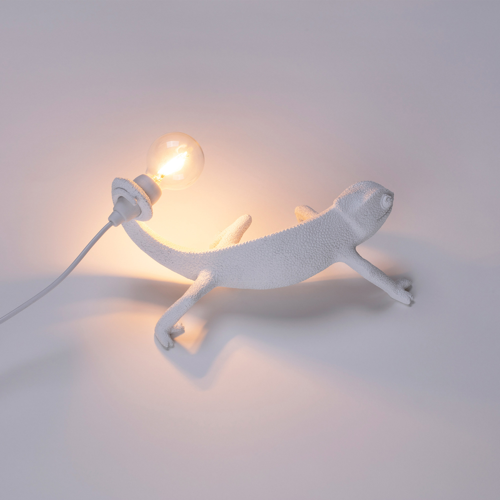 Chameleon Lamp Still LED decorative light, white, USB - SELETTI