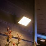 Philips Hue LED outdoor spotlight Welcome black metal 2,700 K