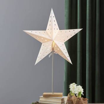 Leo standing star with a star pattern
