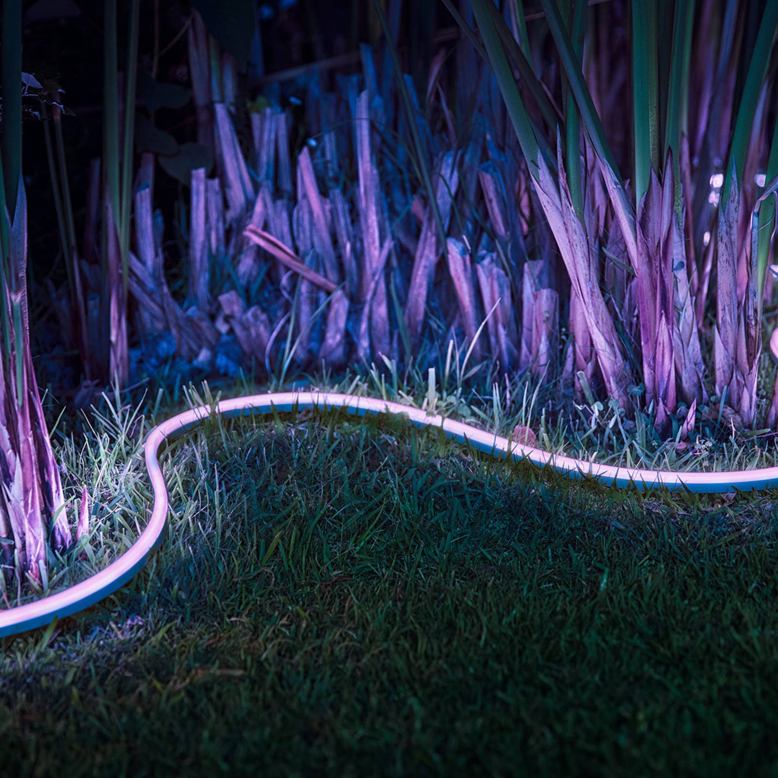 Philips Hue Lightstrip Outdoor 2m White & Color