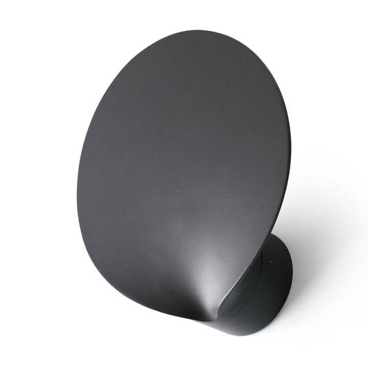 Lotus LED outdoor wall light in anthracite Lights.ie
