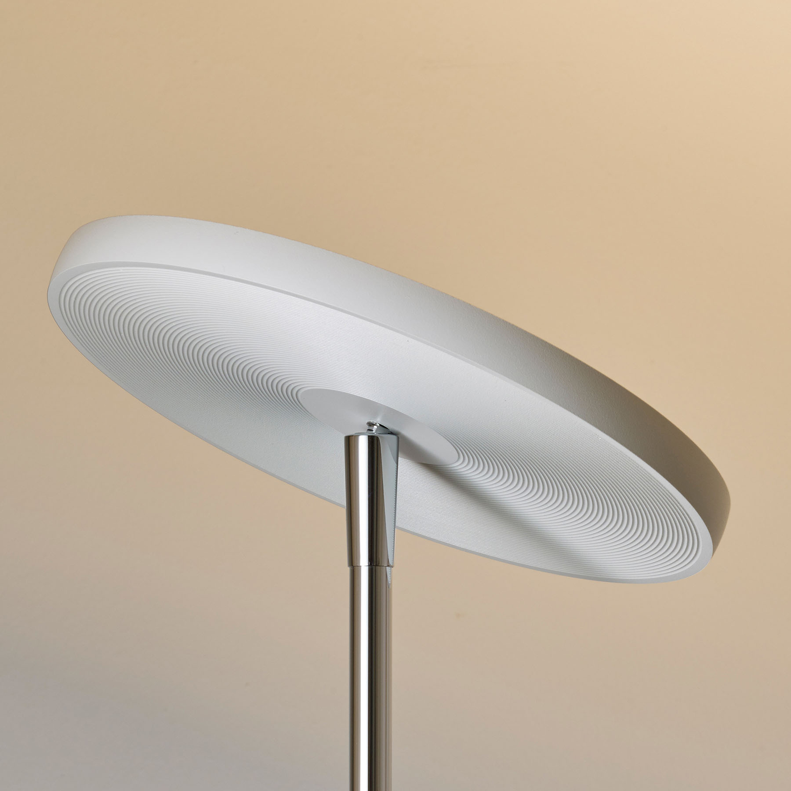 OLIGO Decent Max LED-gulvlampe, hvit matt