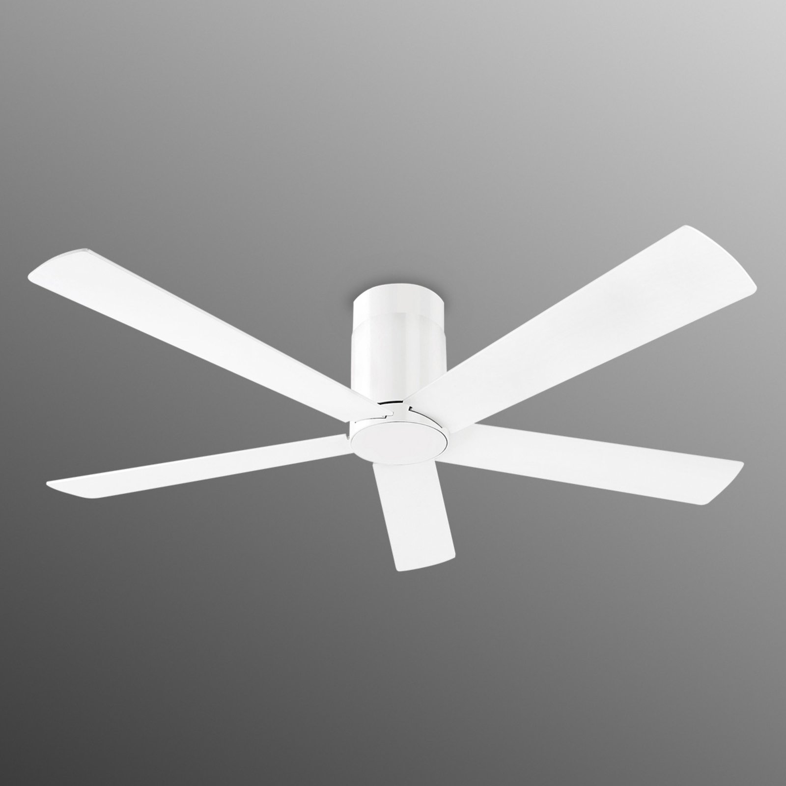 Rodas ceiling fan in a clear design - white