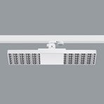 ERCO Jilly 230V 15W oval wide, Raster silber