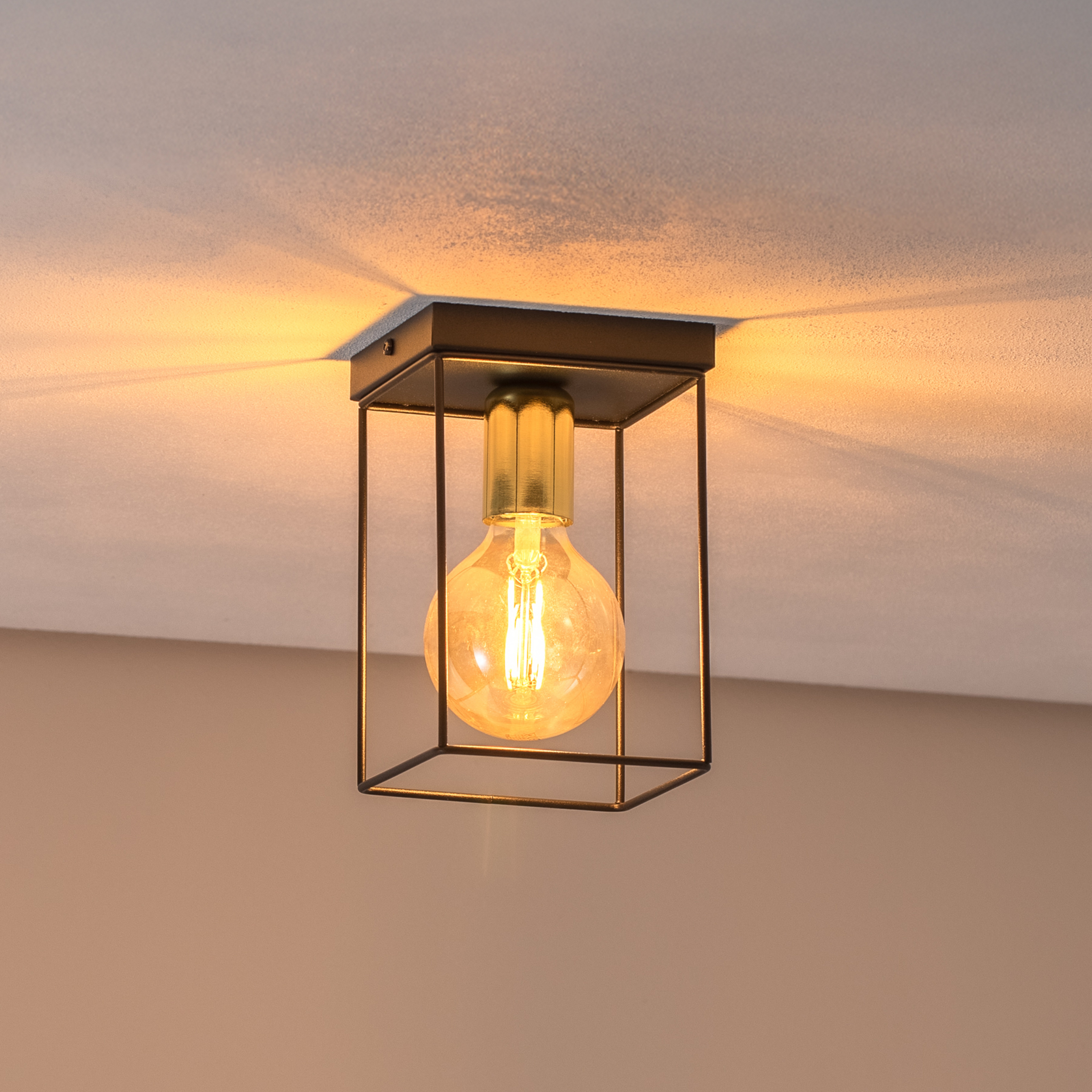 Anna ceiling light with metal frame, 1-bulb