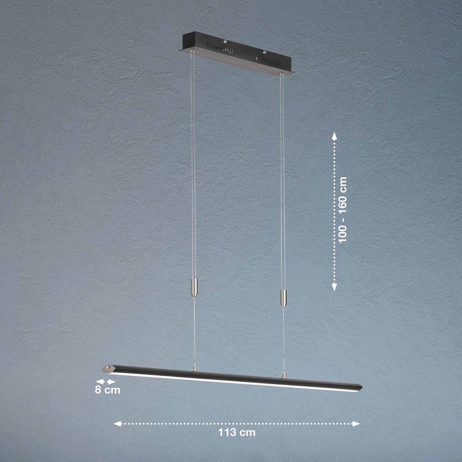 FISCHER & HONSEL Suspension LED Beat, noir/nickelé, longueur 113 cm