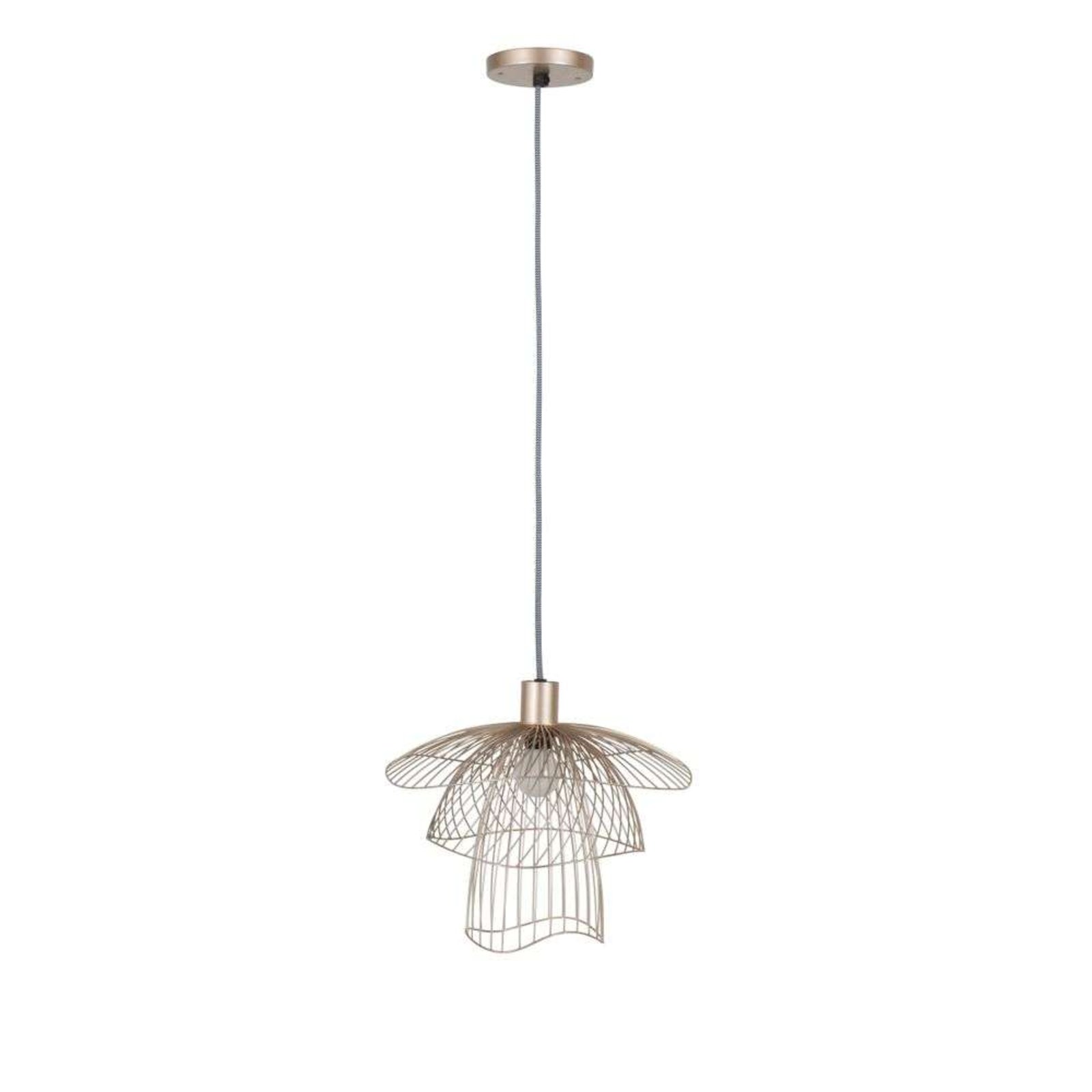 Papillon Taklampa XS Golden - Forestier