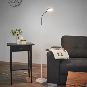 Paul Neuhaus Titus anthrazit LED-Stehlampe Dimmer