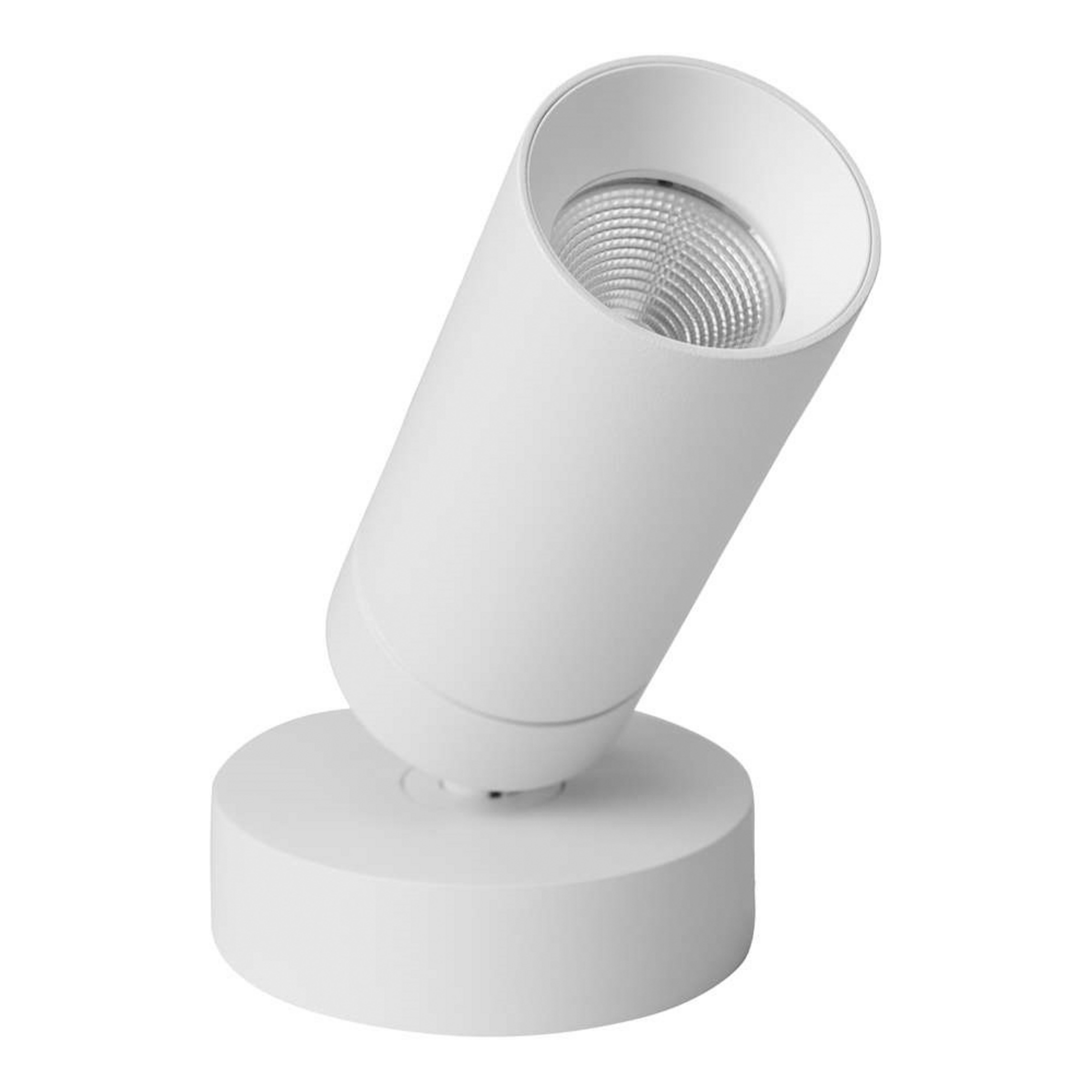 S16 Fixed Mounting Spot 2700K White/White - Antidark