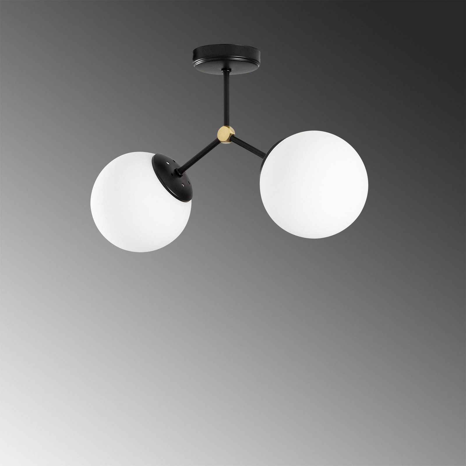 Plafonnier Damar, noir, verre, à 2 lampes, longueur 44 cm