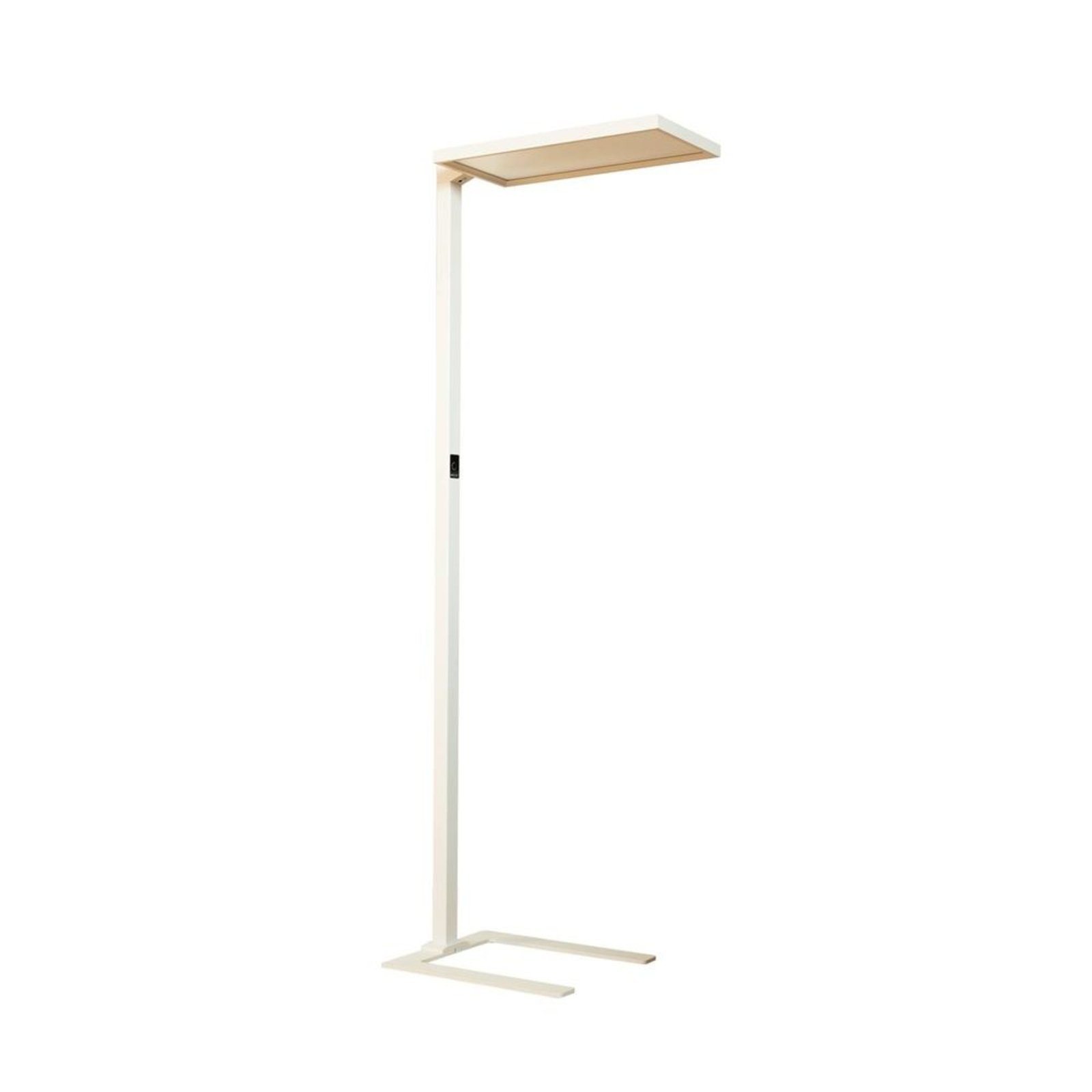 Nelus LED Lampadar w/Sensor White - Arcchio