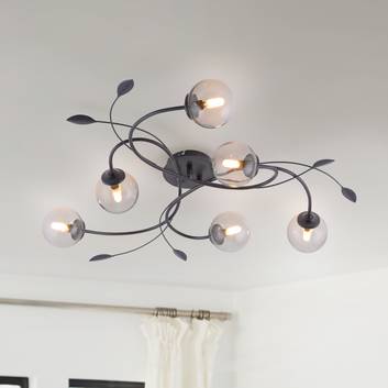 Paul Neuhaus Widow LED plafondlamp, 6-lamps