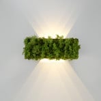 Green Carlo LED vägglampa, upp/ner, äkta mossa