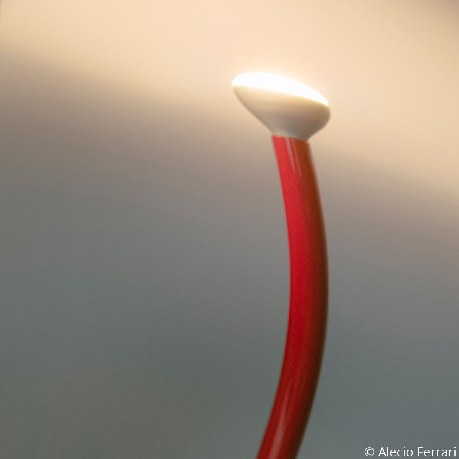 Luminator Stojací Lampa Red - Flos