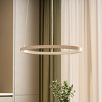 LED-riippvalgusti PERFORA PRO M, Ø 66 cm, valge, DALI üles/alla, CCT