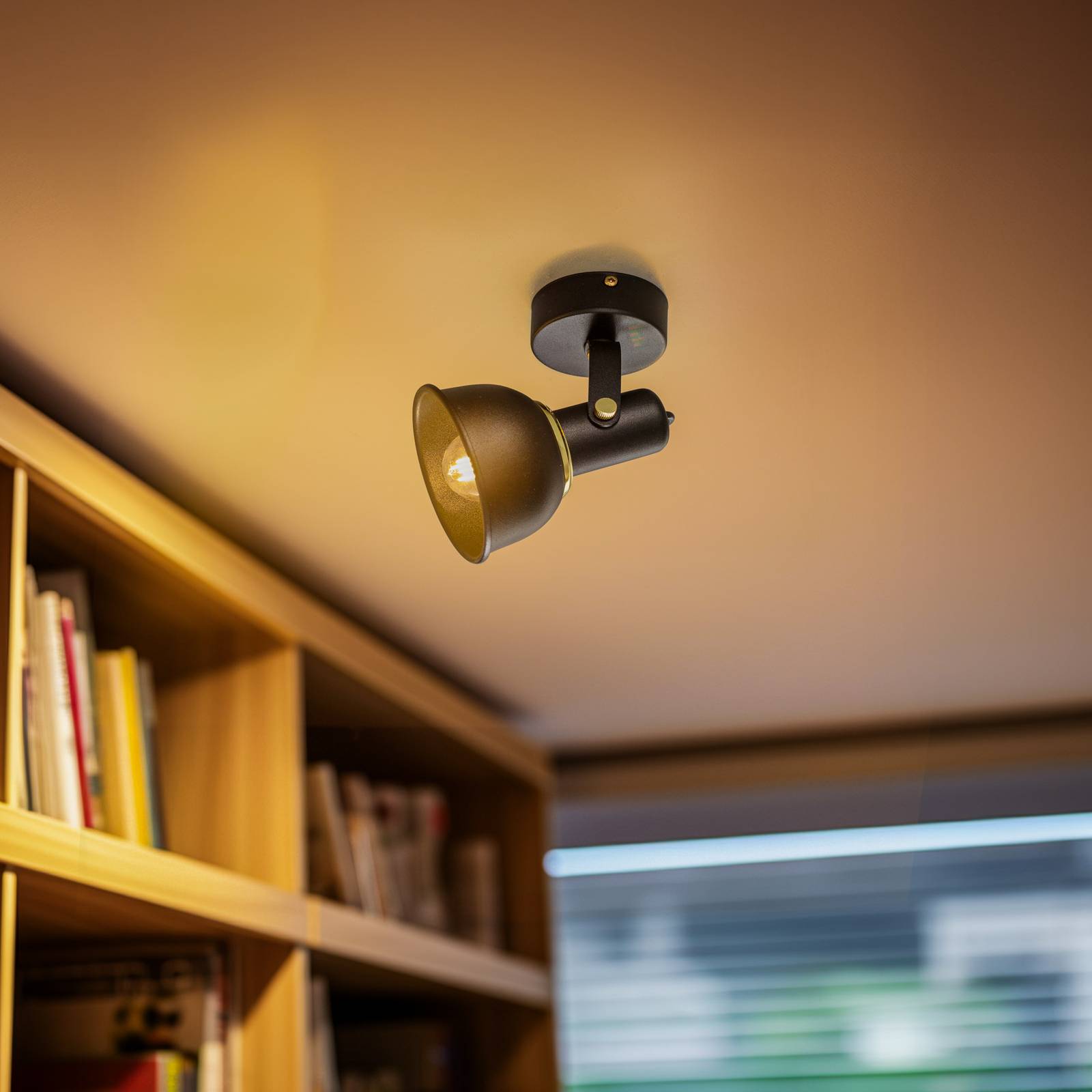 Argon Spot pour plafond Twist pivotant à 1 lampe noir