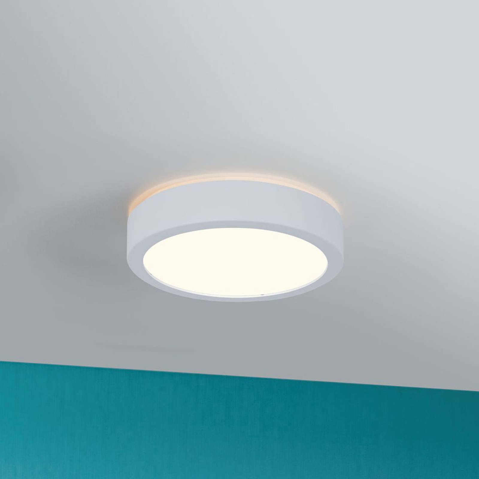 Photos - Chandelier / Lamp Paulmann Aviar LED ceiling lamp Ø 22cm white 3000K 