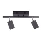 Mira Deckenlampe, black pearl, 2-flammig, Remote, CCT - PURE