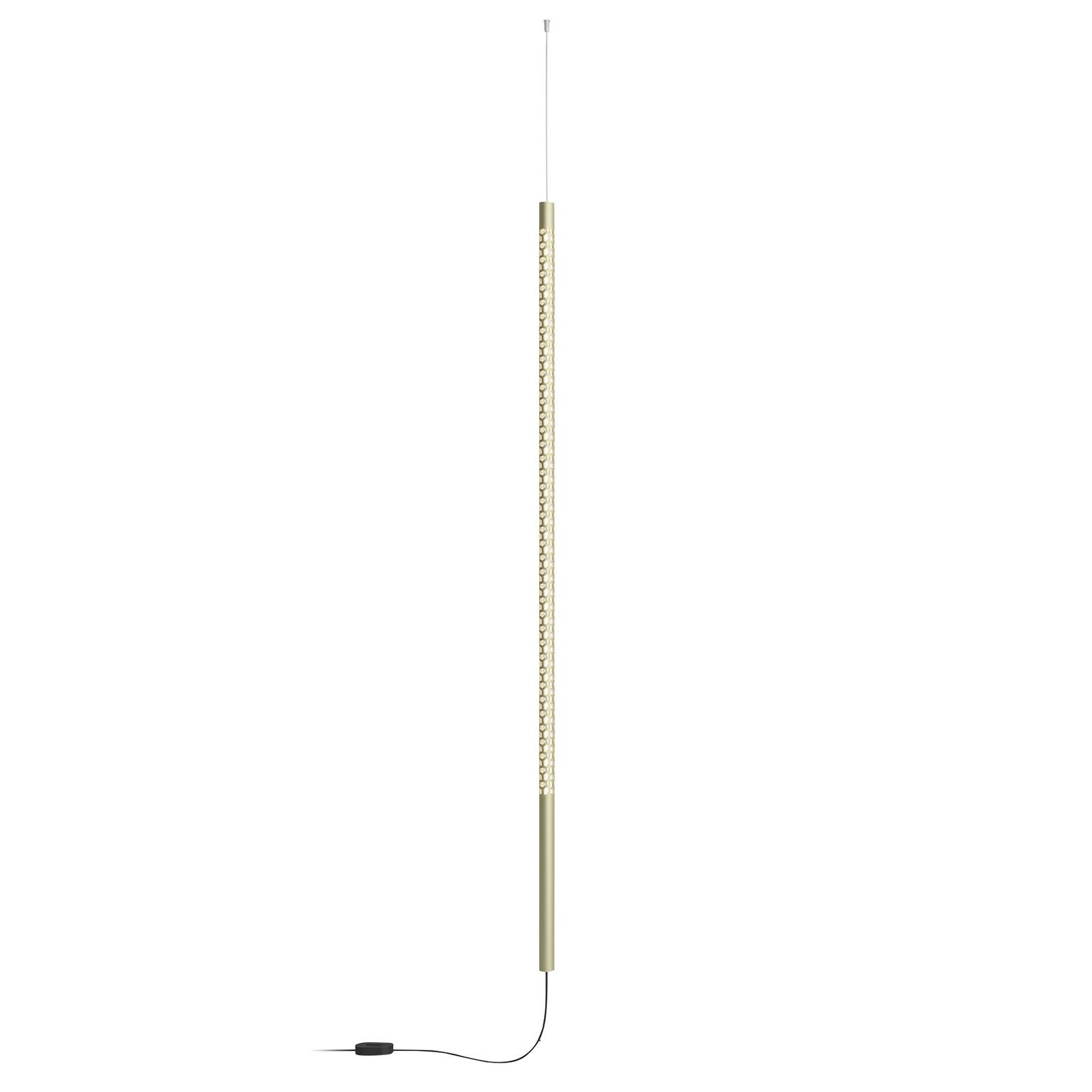 Rotaliana Squiggle H12 LED-Hängeleuchte gold