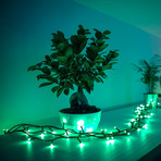 LED-Lichterkette Twinkly RGB, schwarz