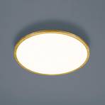 Helestra Rack LED ceiling lamp dim round gold