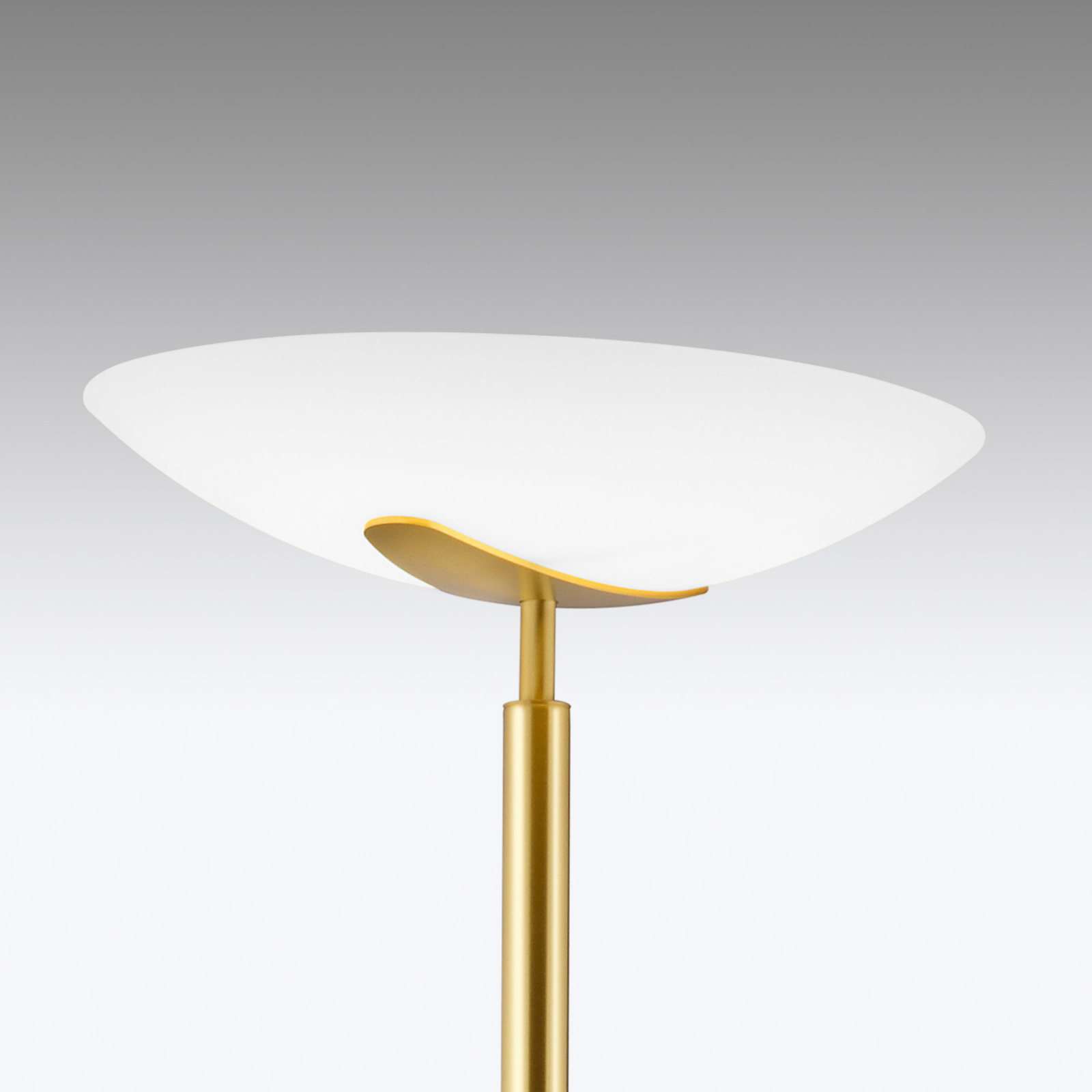 LED uplighter floor lamp floor lamp Lya with a reading light, matt brass