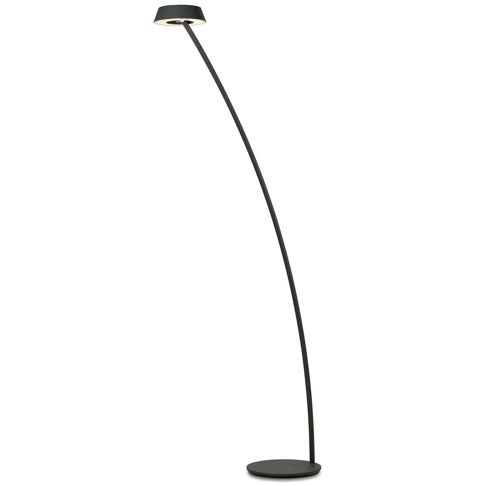 OLIGO Glance LED floor lamp curved matt black
