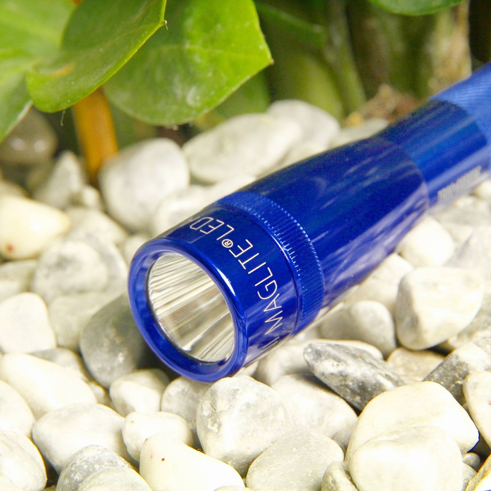 lampe de poche led maglite mini, 2-cell aa, étui, bleu