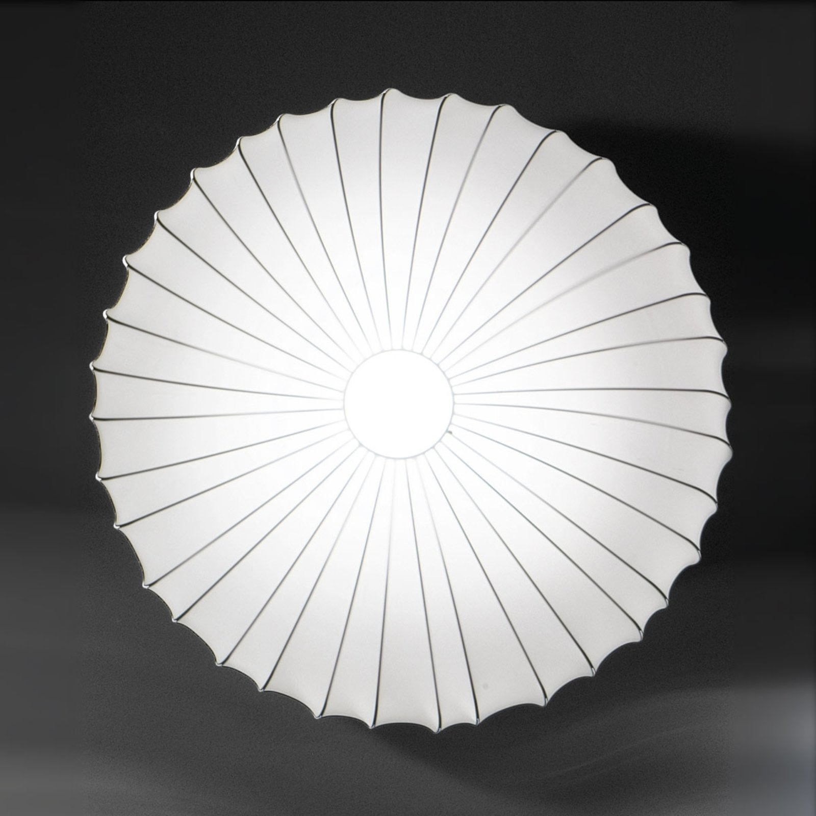 Axolight Muse wall light in white