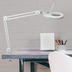 Lampe à loupe LED MAULviso avec pince, blanc