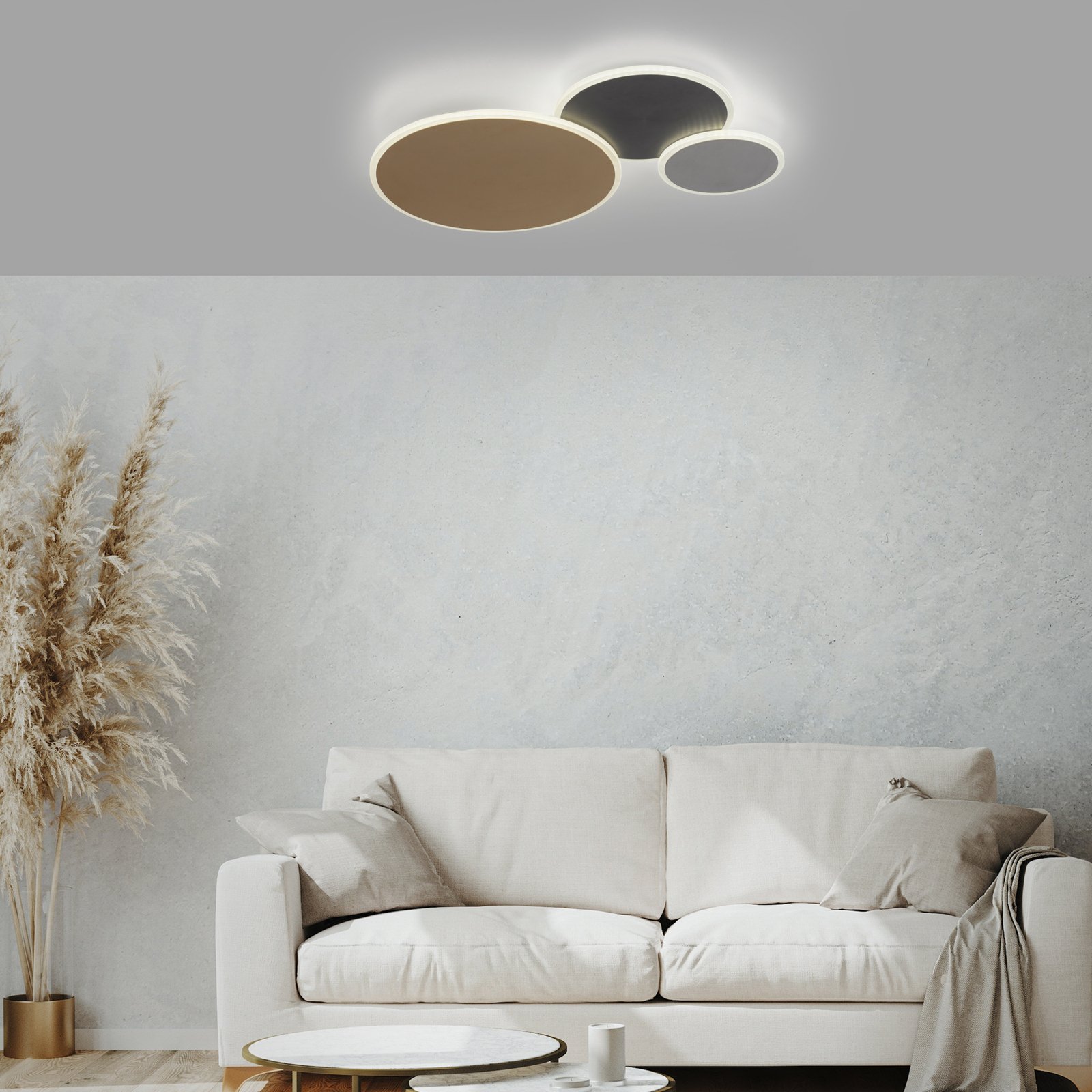 Paul Neuhaus Q-Piato LED plafondlamp 3-lamps