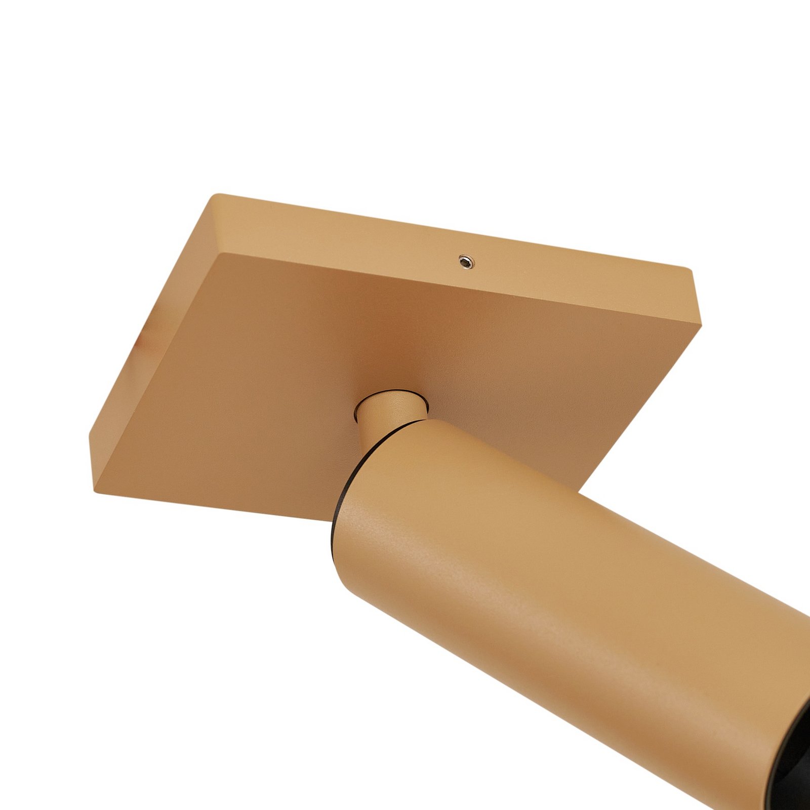 Brinja Slim stropné bodové svetlo, 1-pl., kávová, GU10 MR11 - Arcchio Brinja Slim stropné bodové svetlo, 1-pl., kávová, GU10 MR11 - Arcchio