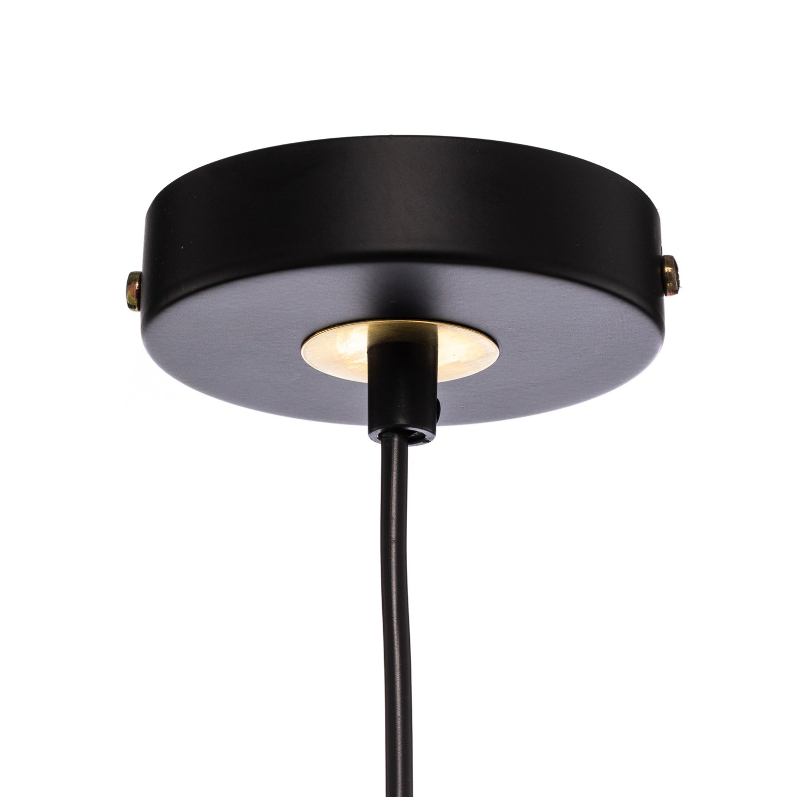 Pendant light Sparta opal black gold 1-bulb