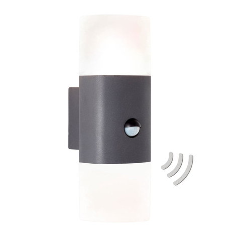 AEG Farlay LED-Außenwandlampe, zweiflammig Sensor