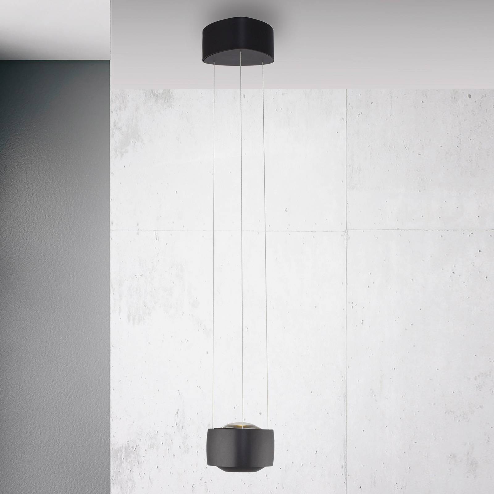 Paul Neuhaus LED-Pendelleuchte Q-Stretto, schwarz, Ø 14,5cm günstig online kaufen
