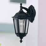 Vonkajšie nástenné svietidlo Alex, výška 44 cm, čierna/číra, kov/sklo