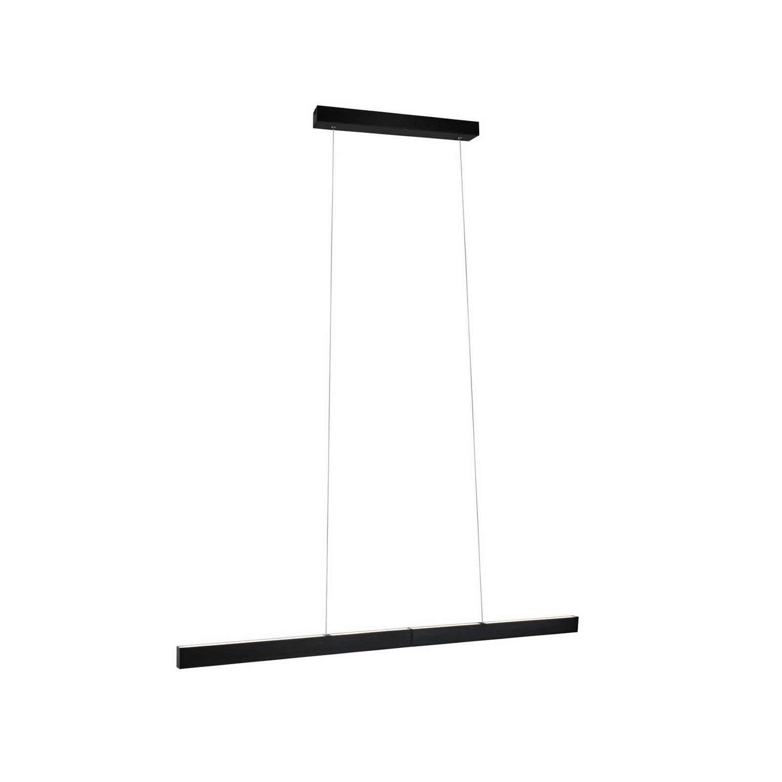 Paulmann LED-Hängelampe Aptare, schwarz, RGBW, smart, dim.