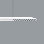 ERCO Jilly P DALI up/down oval wide weiß/silber