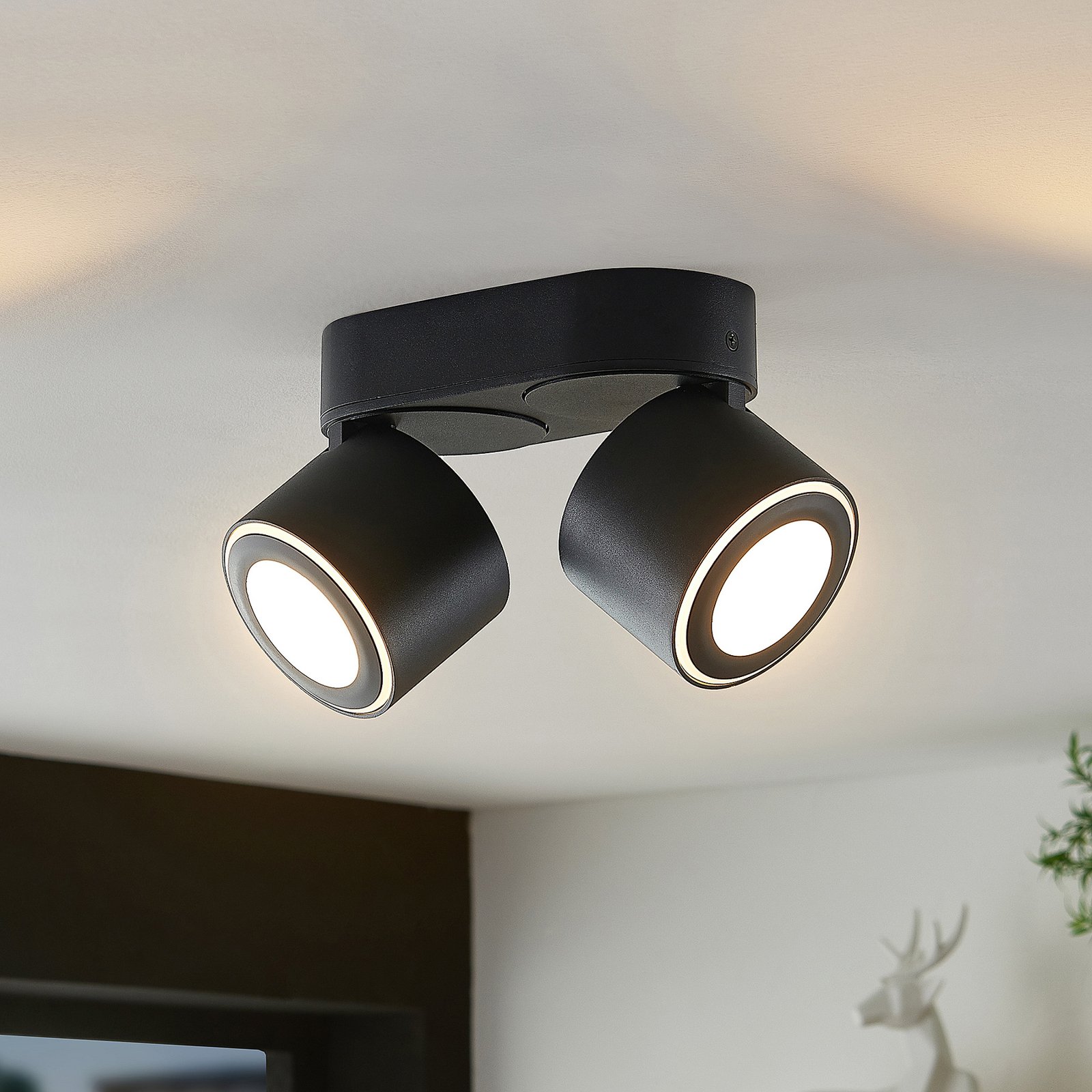 Lindby Lowie LED spot, 2-lamps, zwart