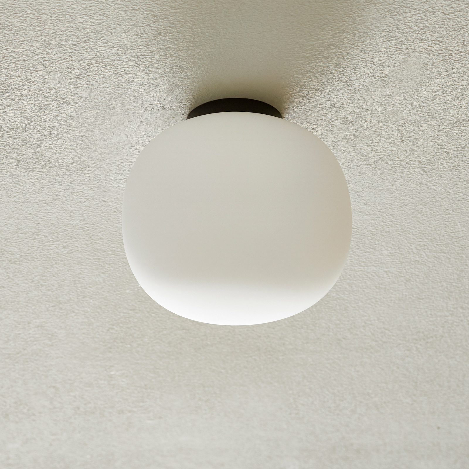 frosted ceiling light