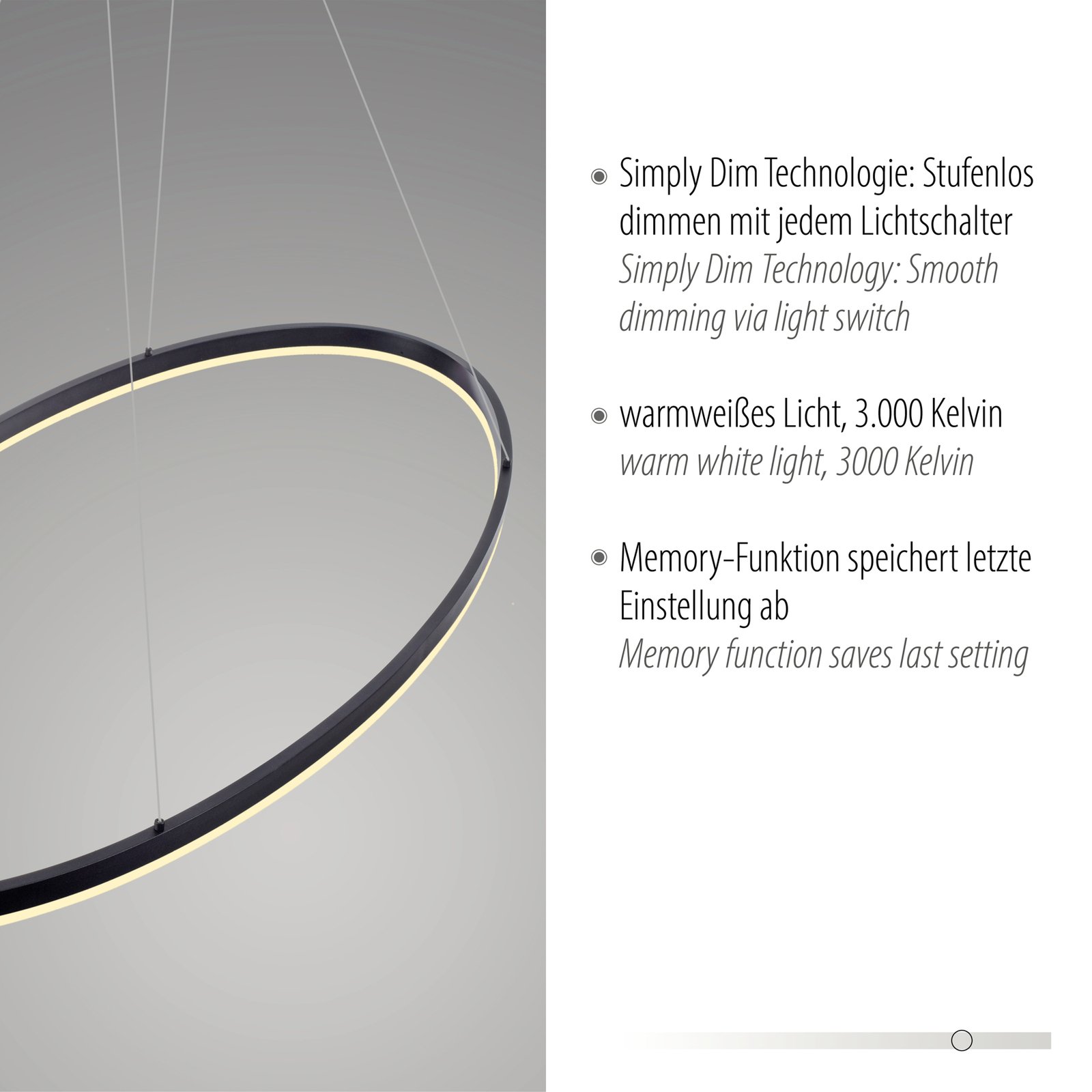 Paul Neuhaus Titus suspension LED, ovale 118x56 cm
