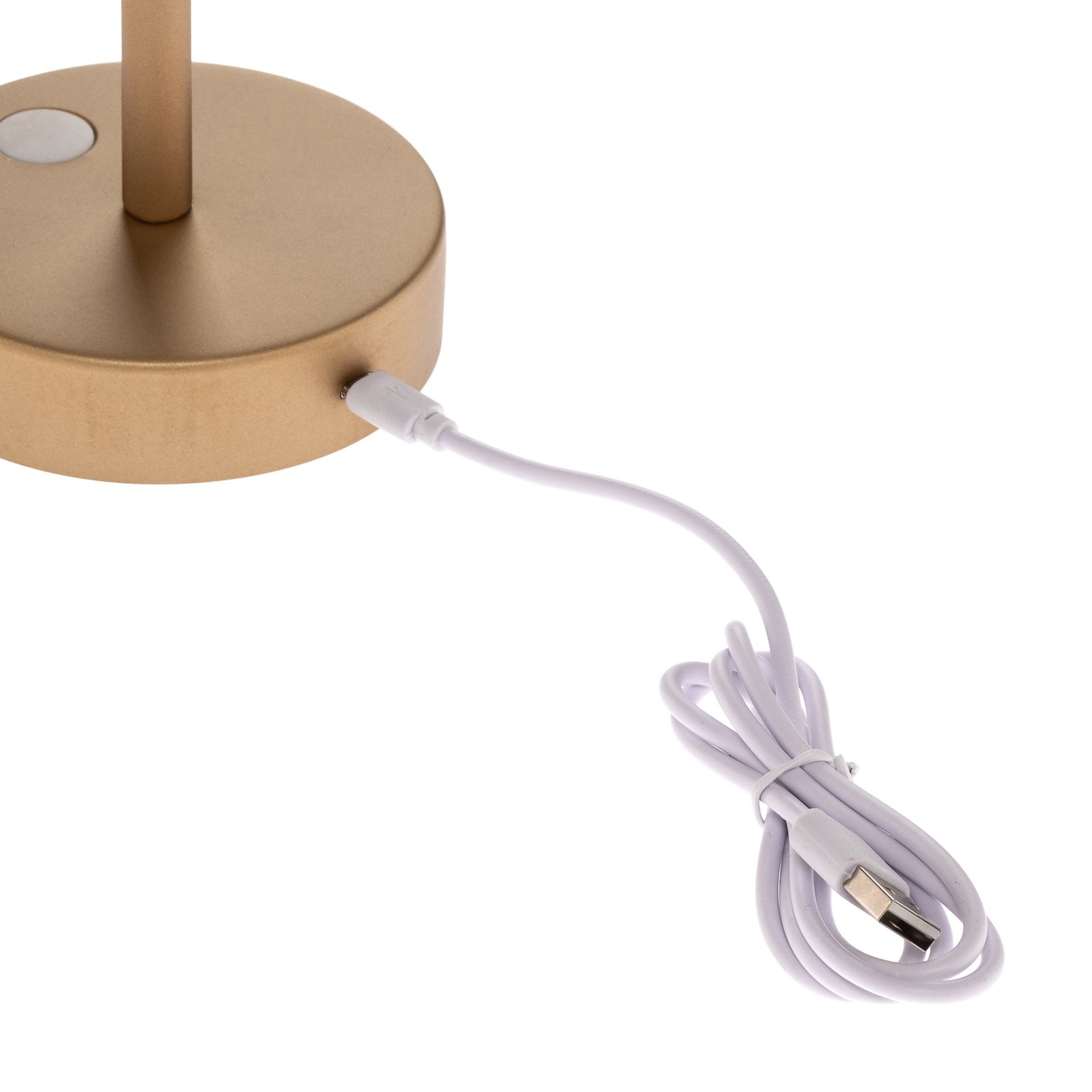 Newgarden Lola Slim -LED-pöytälamppu, messinki