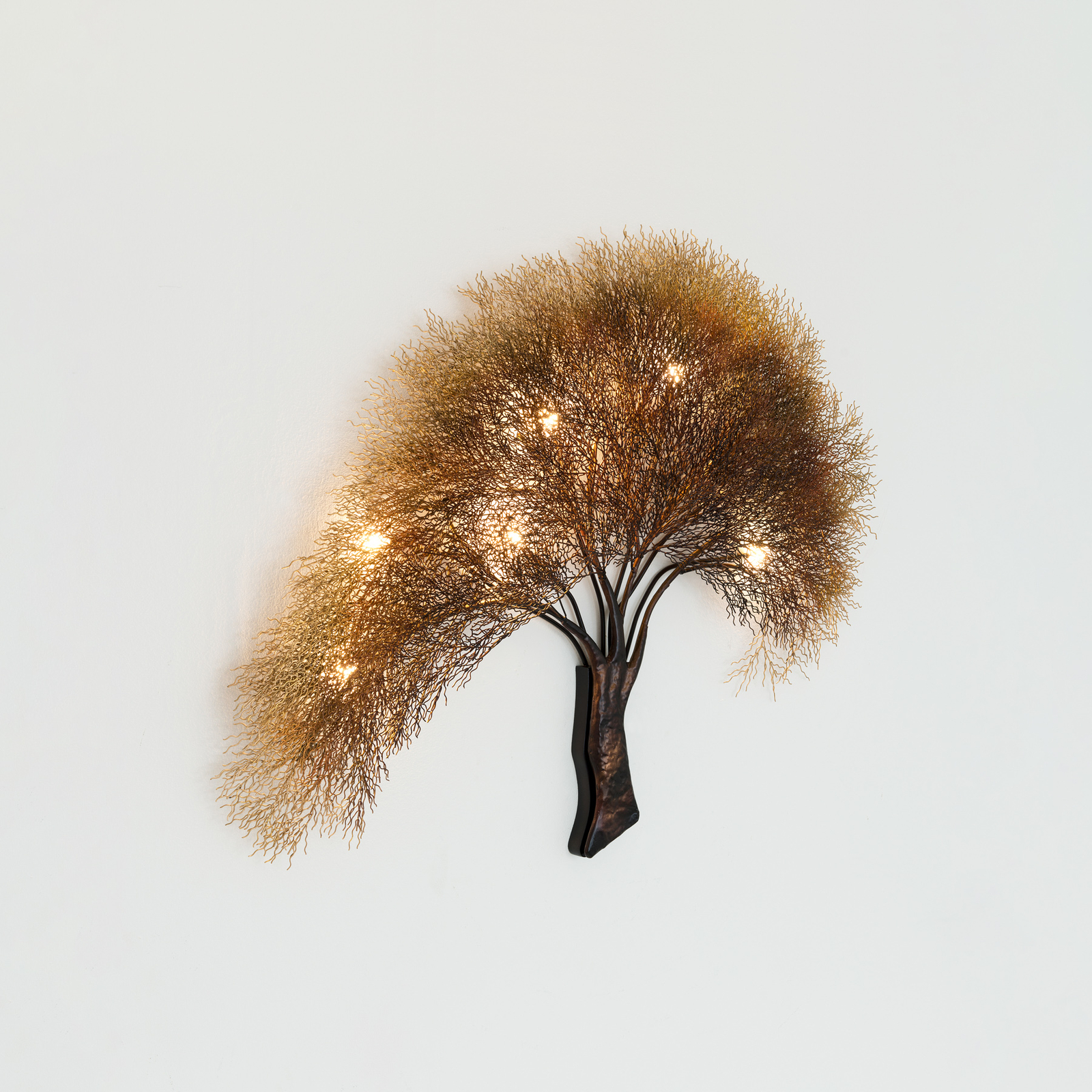 Acacia wall light in tree design, dimmable