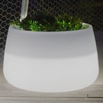 Newgarden bac à plantes solaire LED Camelia, Ø 59 cm, blanc