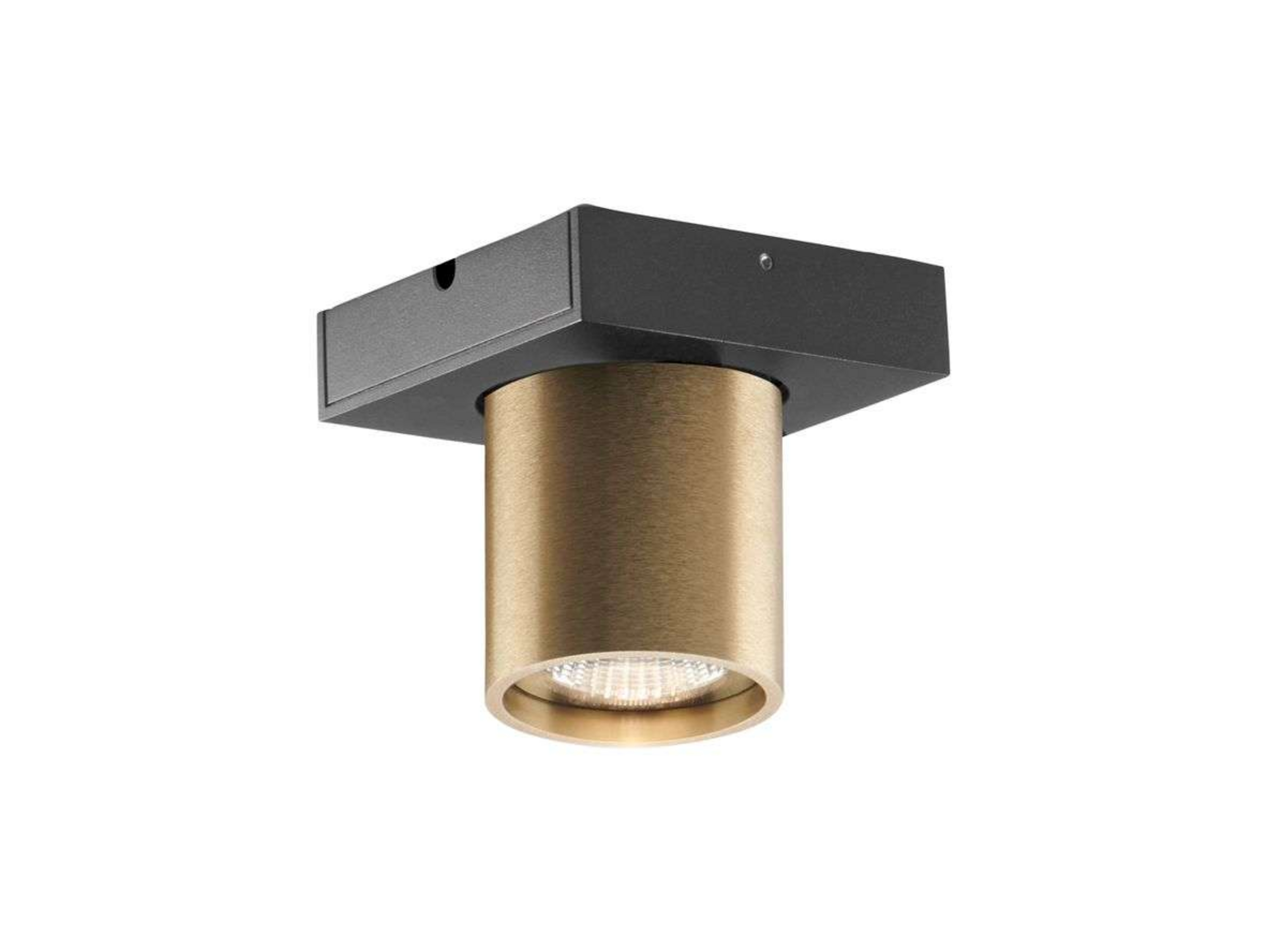Focus 1 LED Plafonnier 3000K Brass - LIGHT-POINT